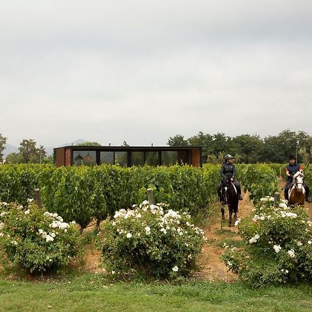 Vibo Wine Lodge At Viu Manent Santa Cruz Exteriör bild