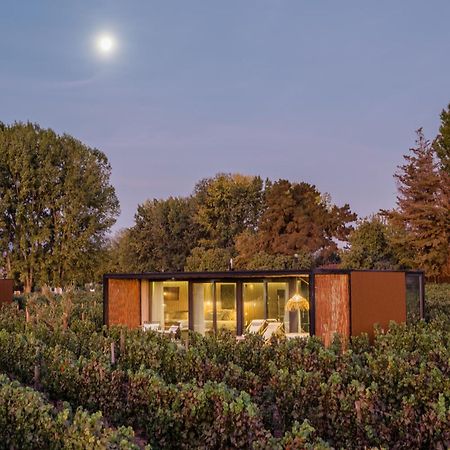 Vibo Wine Lodge At Viu Manent Santa Cruz Exteriör bild