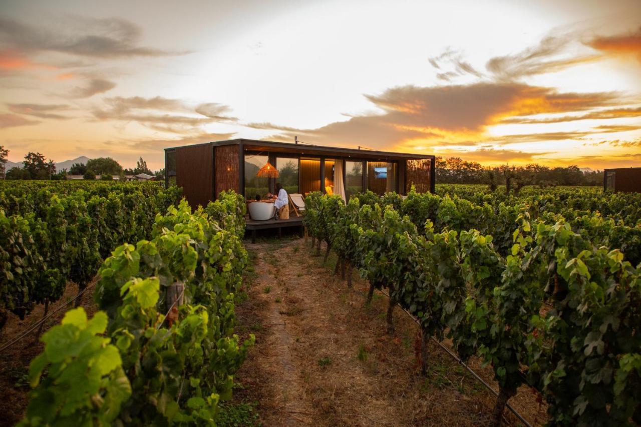 Vibo Wine Lodge At Viu Manent Santa Cruz Exteriör bild
