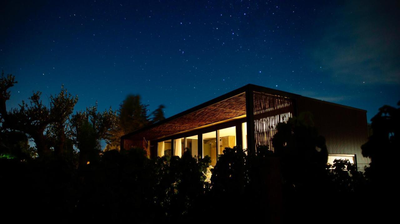 Vibo Wine Lodge At Viu Manent Santa Cruz Exteriör bild