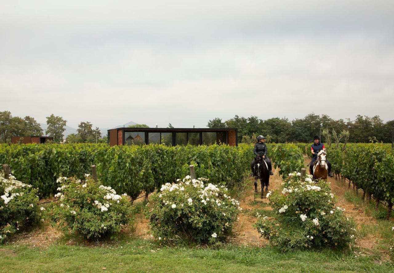 Vibo Wine Lodge At Viu Manent Santa Cruz Exteriör bild