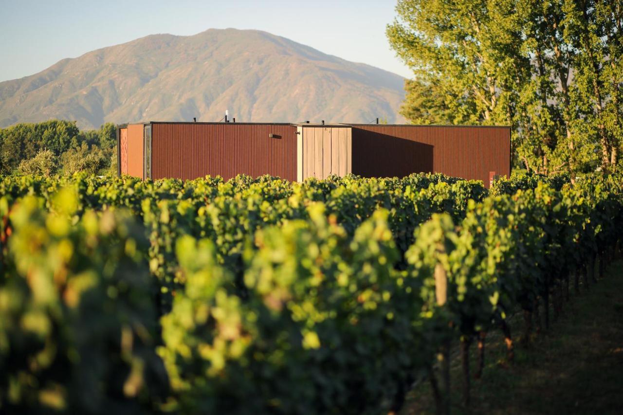 Vibo Wine Lodge At Viu Manent Santa Cruz Exteriör bild